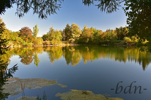 Der Bonauer Weiher im Licht der Abendsonne