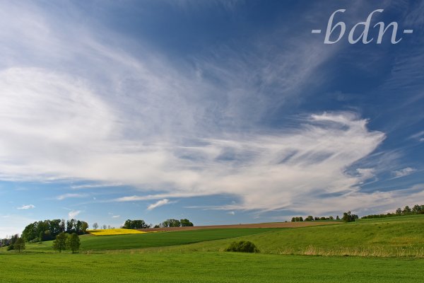Schleierwolken über den Feldern in der Holledau