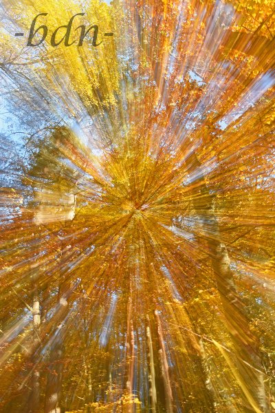 Herbst