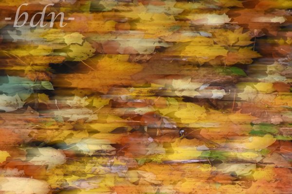 Herbstlaub