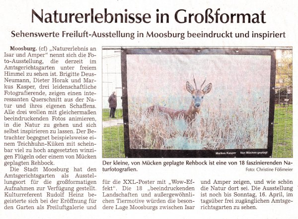 Moosburger Zeitung vom 12. April 2023 1