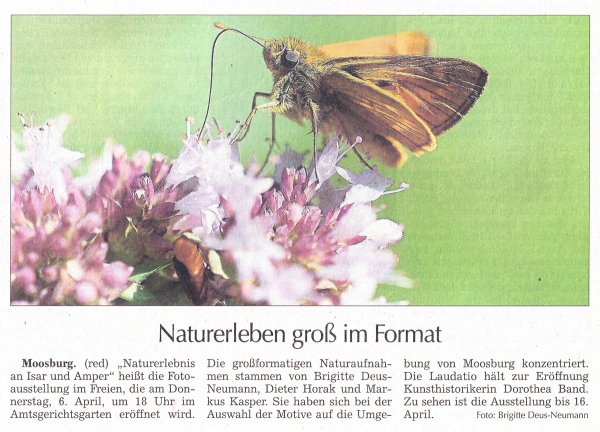 Moosburger Zeitung vom 4. April 2023