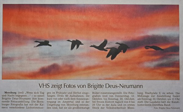 Moosburger Zeitung vom 10. Oktober 2022