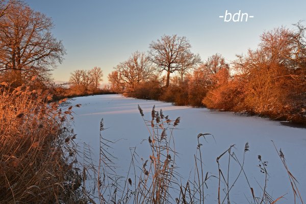 Eis und Schnee auf dem Altwasser der Amper