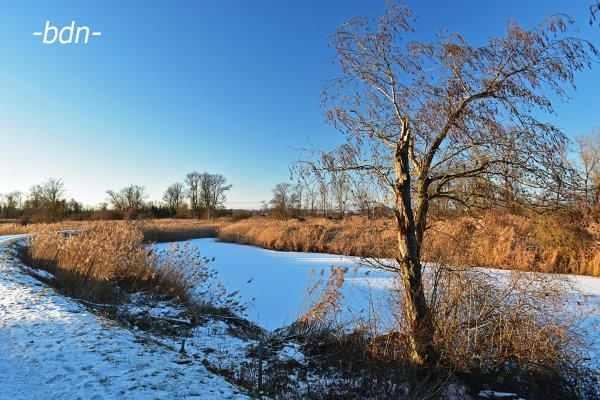 Winter am Altwasser der Amper bei Oberreit