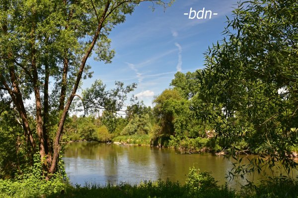 Sommer an der Amper bei Thonstetten