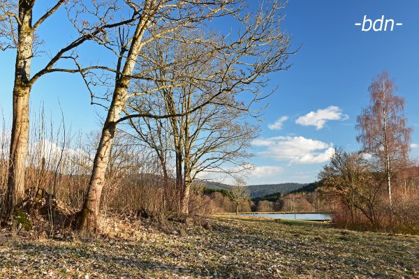 Wandern im Naturpark Bayerischer Wald