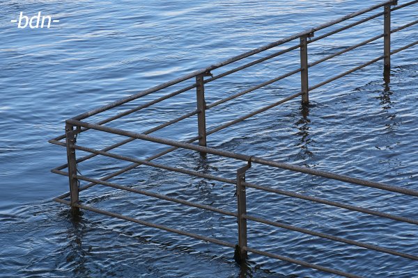 Hochwasser am Rhein
