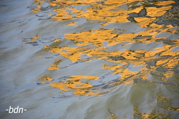 Spiegelungen am Hafen