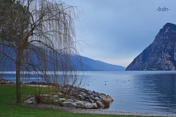 Winter am Gardasee